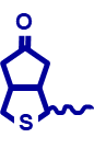 Biotin labeling