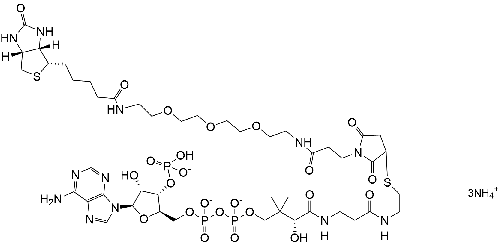 Biotin-PEG3-CoenzymeA 