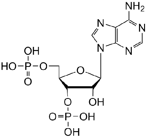 SC-0035 PAP