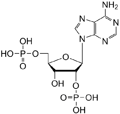 SC-0037
