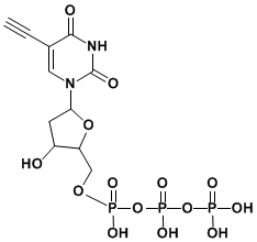 SC-0038 EdUTP