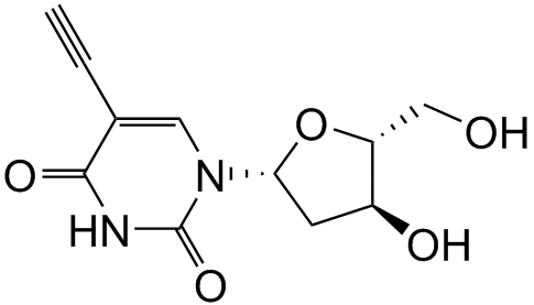 EdU SC-0040