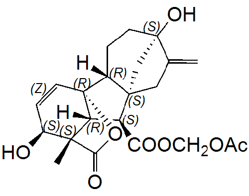 Membrane-Permeant GA (GA3-AM)