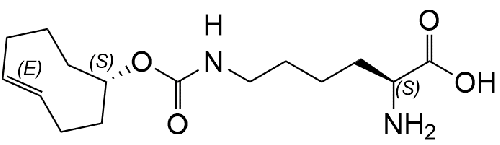 Click Amino Acid / trans-Cyclooct-4-en – L - Lysine (TCO4/EQ) /  EQUATORIAL isomer