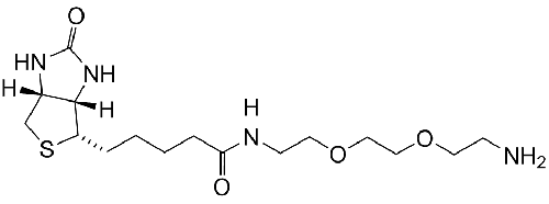 Biotin-PEG2-NH2