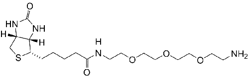 Biotin-PEG3-NH2