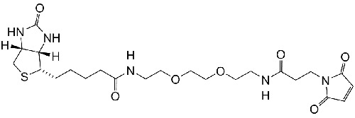 Biotin-PEG2-Maleimide