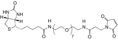 Biotin-PEG7-Maleimide