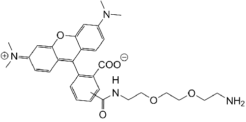 TAMRA-PEG2-NH2