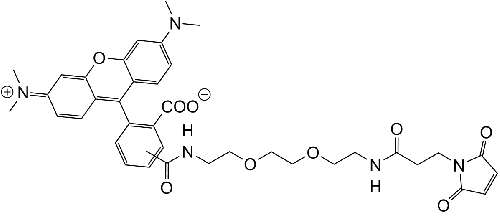 TAMRA-PEG2-Maleimide