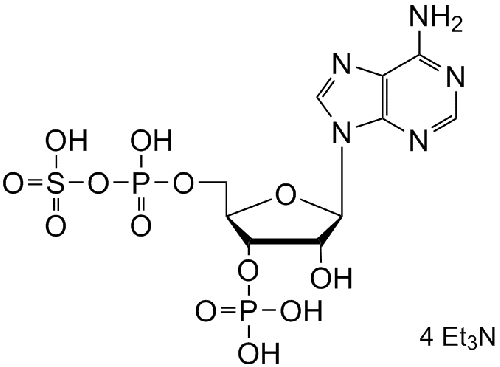 35-PAPS