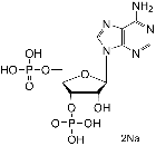 SC-0034