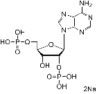 SC-0036