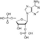 SC-0037