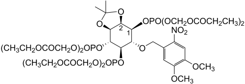 cag-iso-2-145