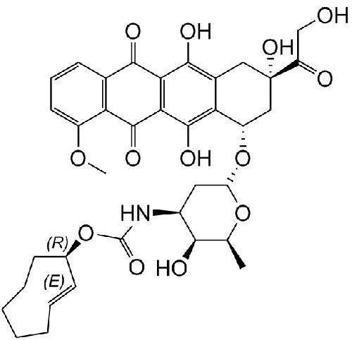 (E)-cyclooctene doxorubicin conjugate / equatorial      