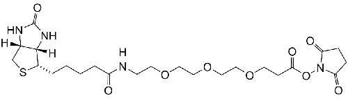 Biotin-PEG3-NHS