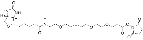 Biotin-PEG4-NHS