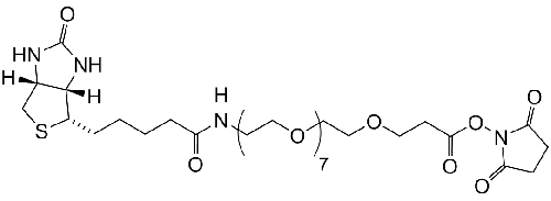 Biotin-PEG8-NHS