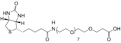 Biotin-PEG8-COOH