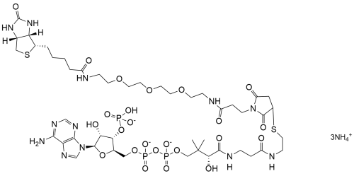 Biotin-PEG3-CoenzymeA 