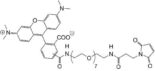 TAMRA-PEG7-Maleimide