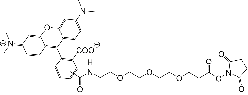 TAMRA-PEG3-NHS