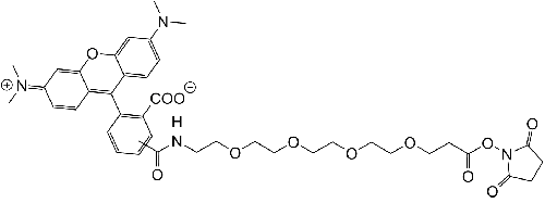 TAMRA-PEG4-NHS