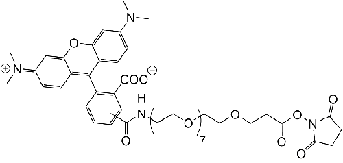 TAMRA-PEG8-NHS