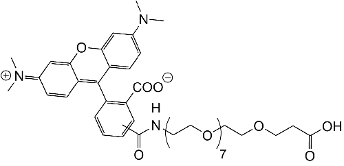 TAMRA-PEG8-COOH
