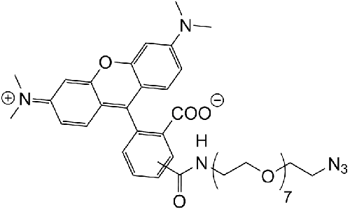 TAMRA-PEG7-N3