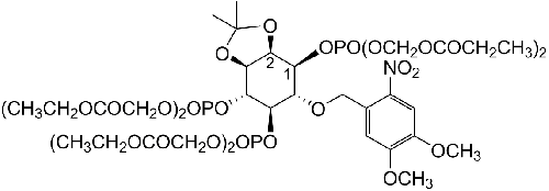 cag-iso-2-145