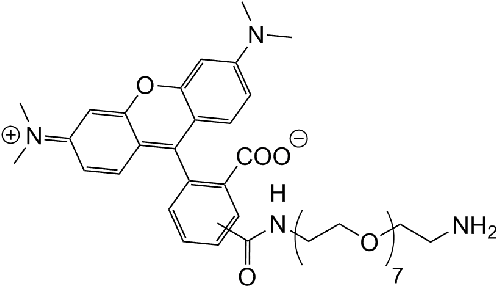 TAMRA-PEG7-NH2
