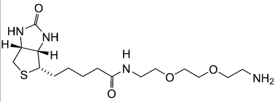 Biotin-PEG2-NH2