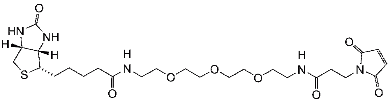 Biotin-PEG3-Maleimide