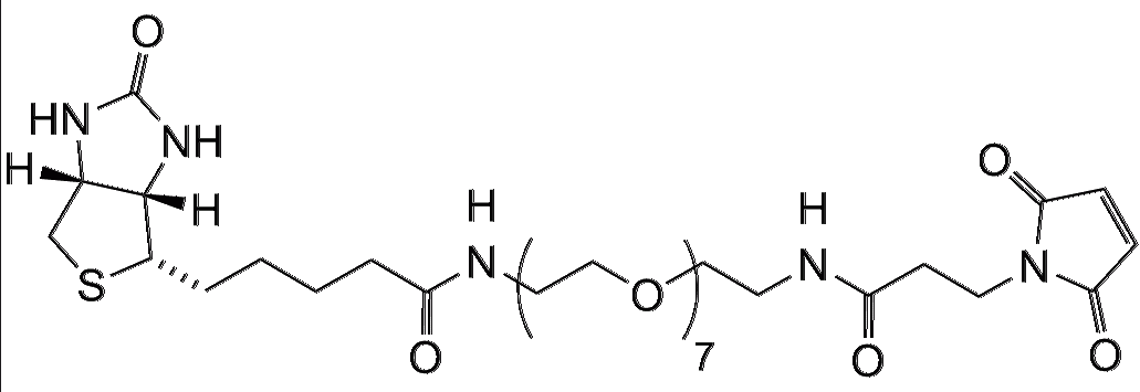 Biotin-PEG7-Maleimide