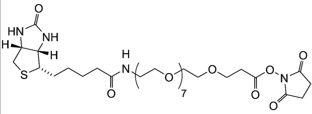 Biotin-PEG8-NHS
