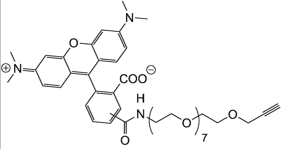 TAMRA-PEG8-Alkyne